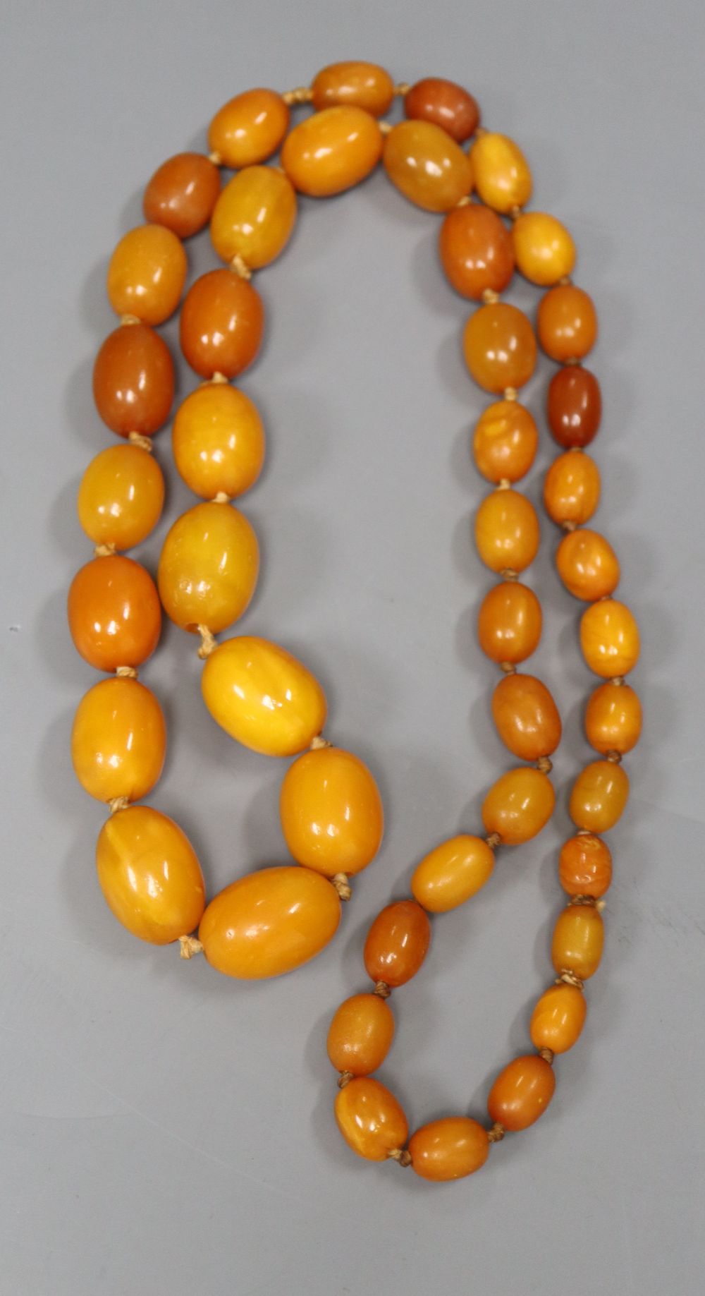 A single strand graduated oval amber bead necklace, 75cm, gross 64 grams.